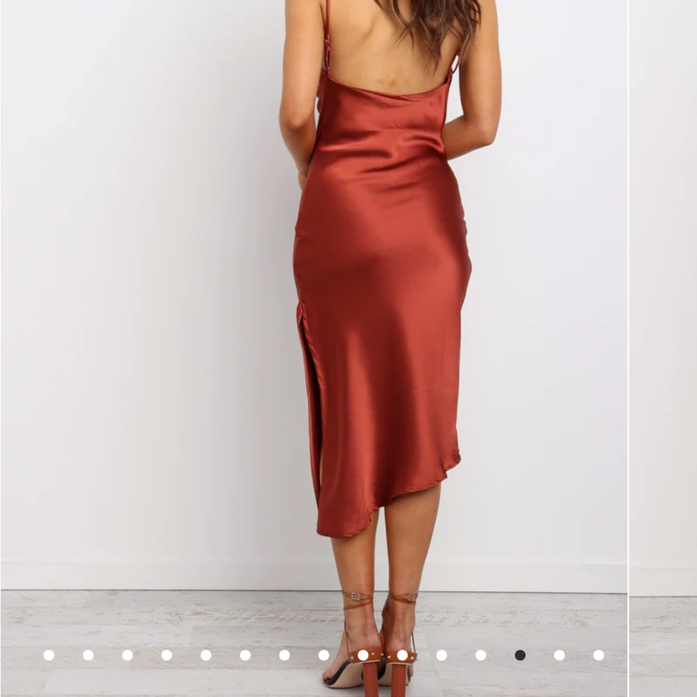 Petal & Pup Rust Midi Dress - Picture 2 of 3